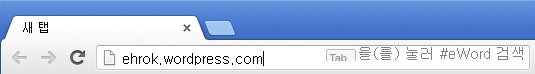 Chrome 주소창 검색 (1)