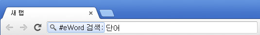 Chrome 주소창 검색 (2)