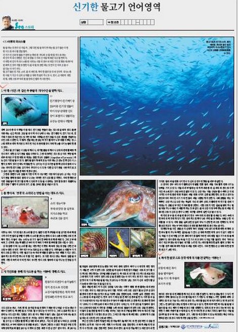 편집상 문화 2011 국제신문